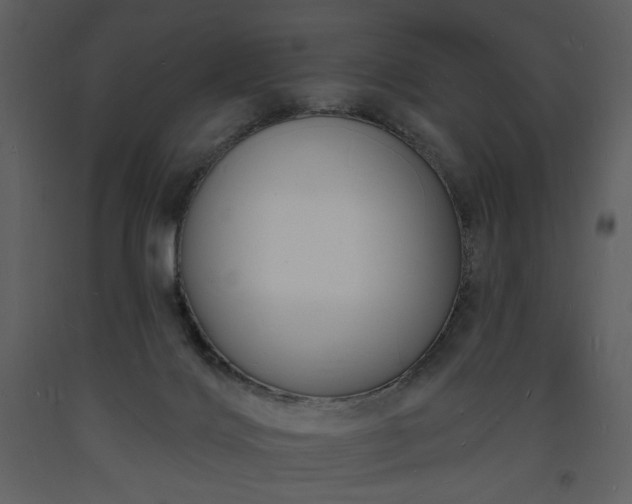 X0000093600028200710221556