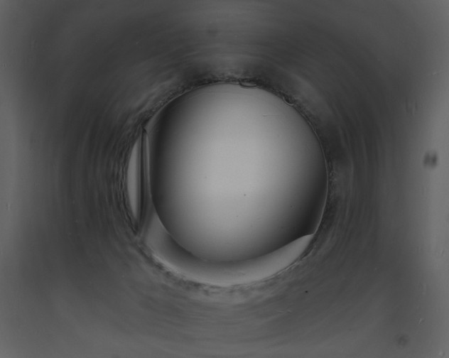 X0000093600029200710221556