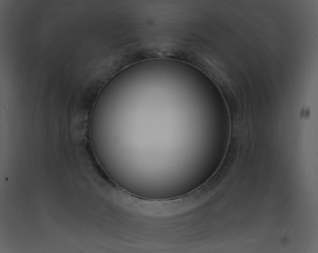 X0000093600030200710221556