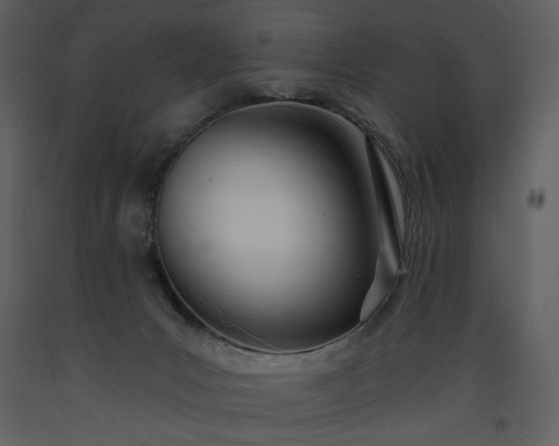 X0000093600031200710221556