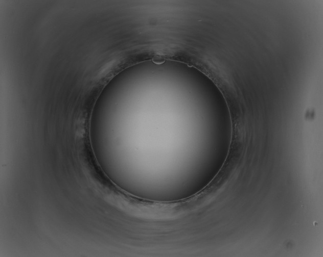 X0000093600032200710221556