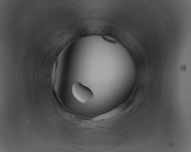 X0000093600033200710221556