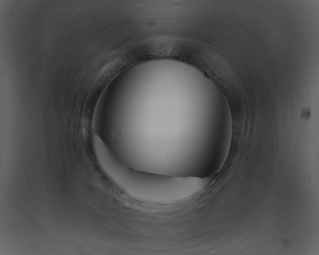 X0000093600035200710221556