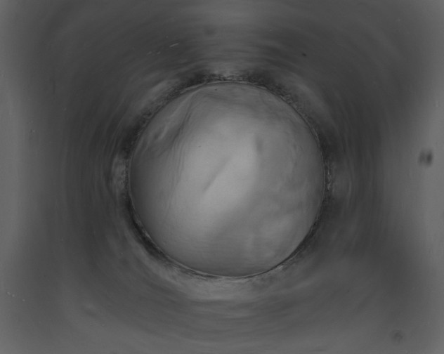 X0000093600036200710221556