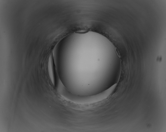 X0000093600037200710221556