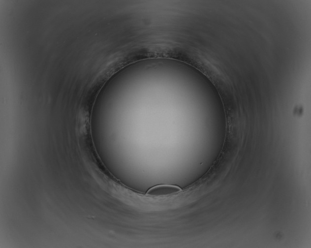 X0000093600038200710221556