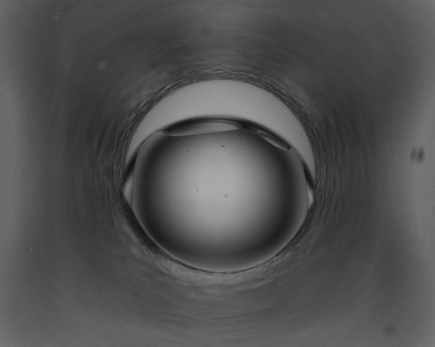 X0000093600039200710221556