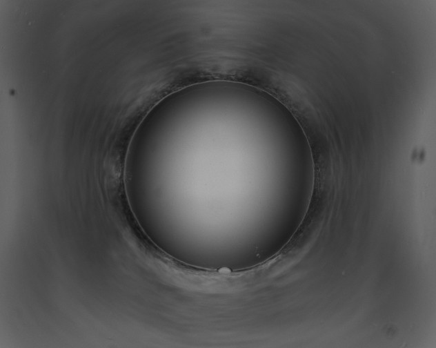 X0000093600040200710221556