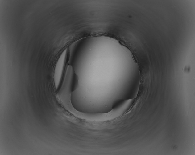 X0000093600041200710221556