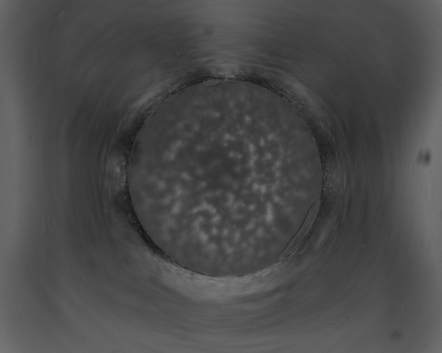 X0000093600043200710221556