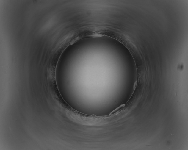 X0000093600044200710221556