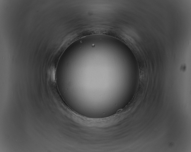 X0000093600046200710221556