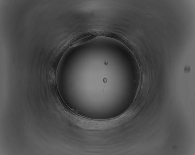 X0000093600048200710221556