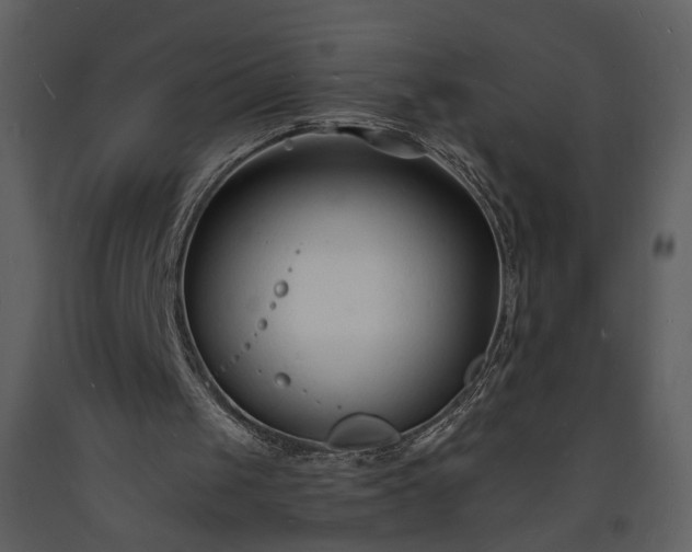 X0000093600049200710221555