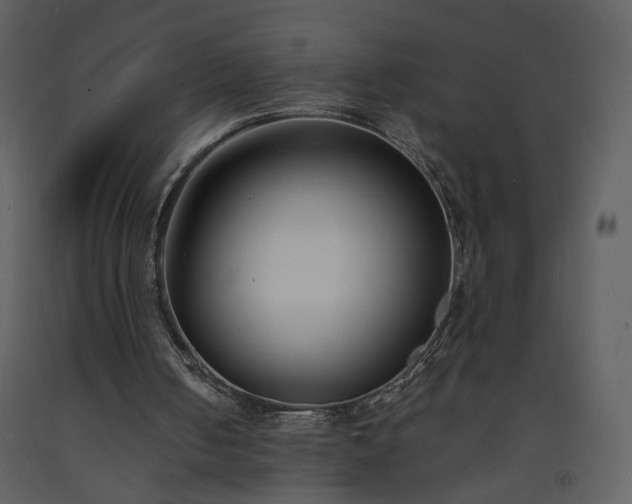 X0000093600050200710221555