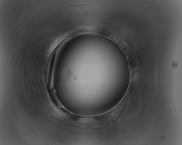 X0000093600051200710221555