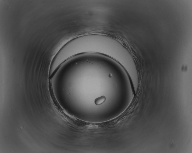 X0000093600052200710221555