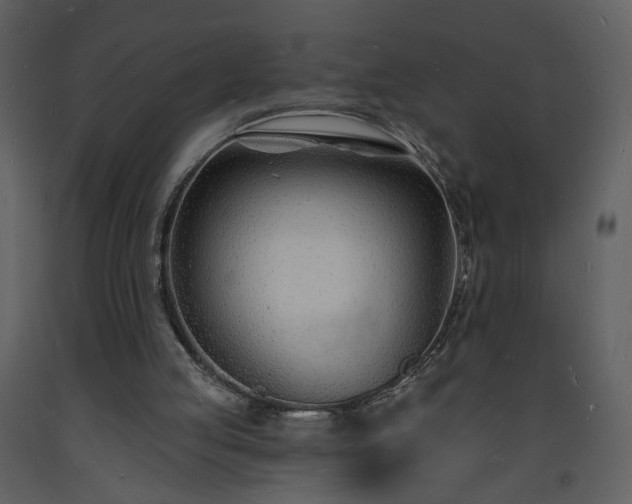 X0000093600053200710221555