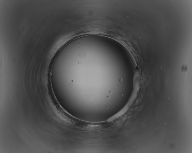 X0000093600055200710221555