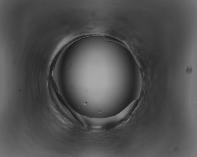 X0000093600056200710221555