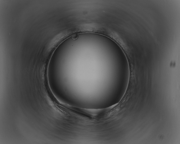 X0000093600058200710221555