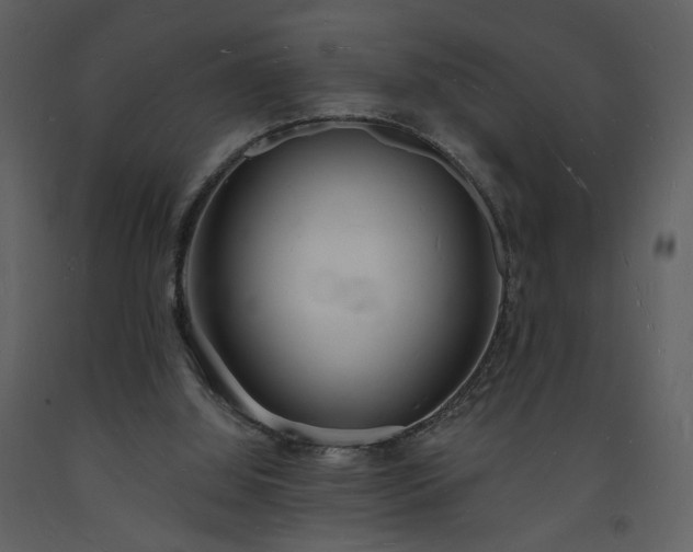 X0000093600060200710221555