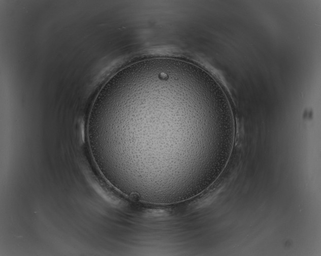 X0000093600061200710221555