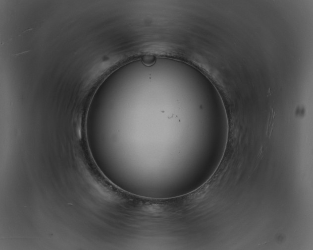 X0000093600062200710221555