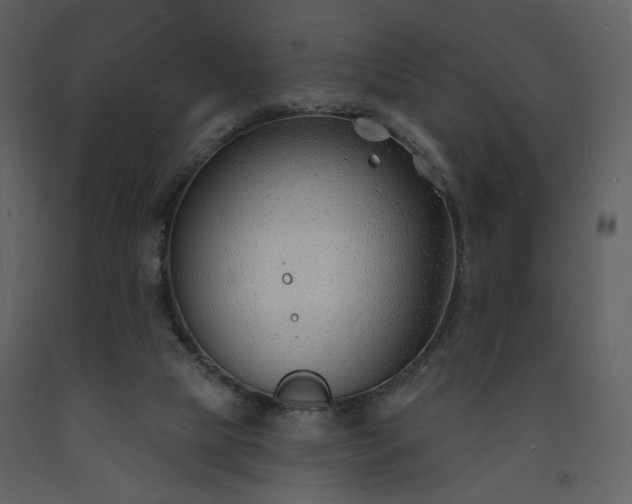 X0000093600065200710221555