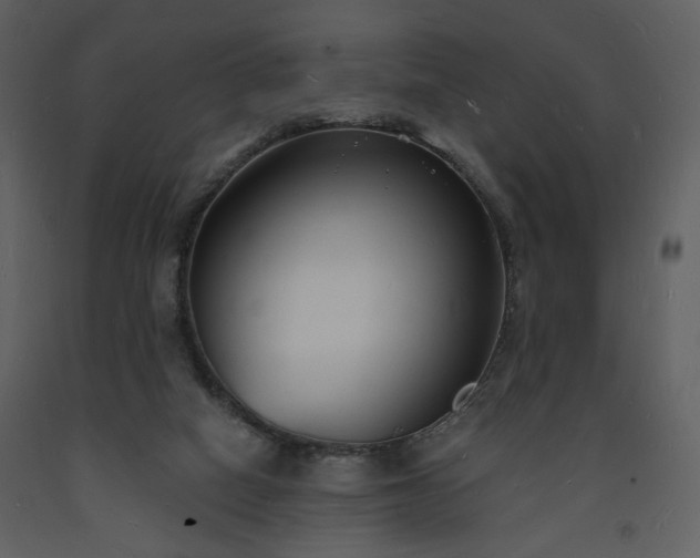 X0000093600066200710221555