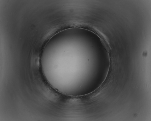 X0000093600067200710221555