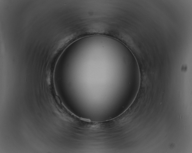 X0000093600068200710221555