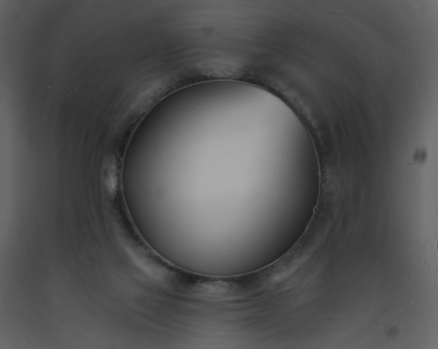 X0000093600069200710221555