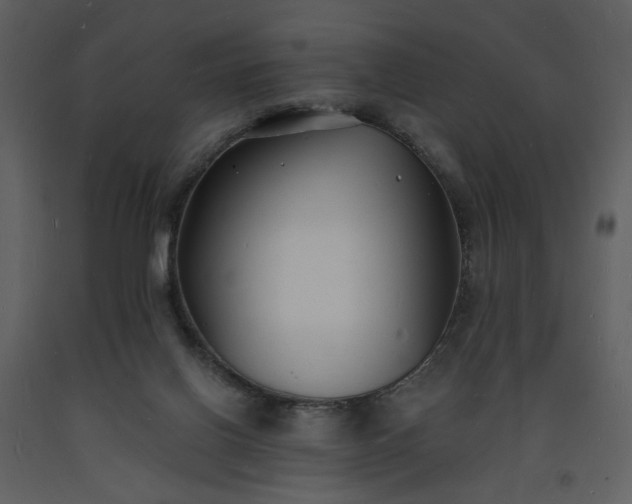 X0000093600070200710221555