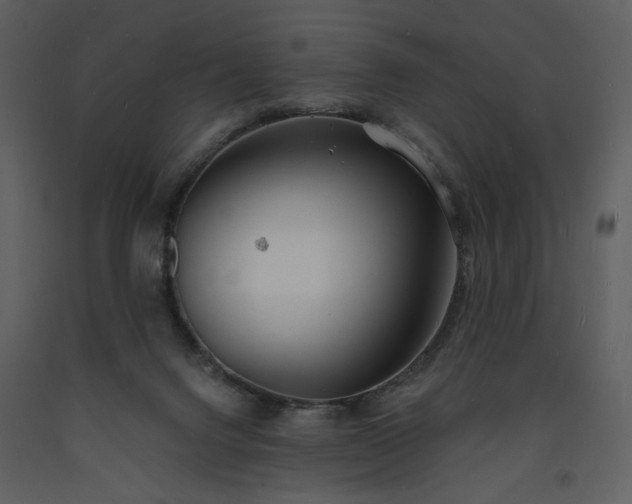 X0000093600072200710221555