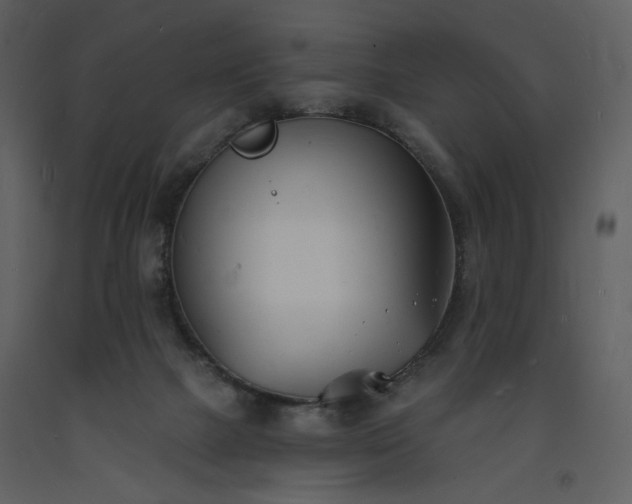 X0000093600073200710221555