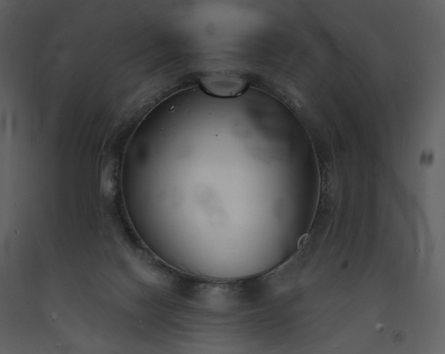 X0000093600074200710221555