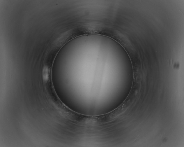 X0000093600075200710221555