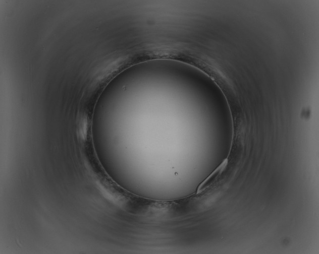 X0000093600076200710221555