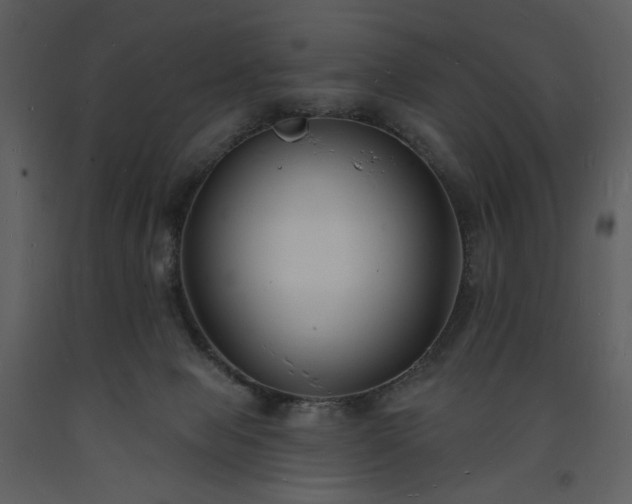 X0000093600077200710221555