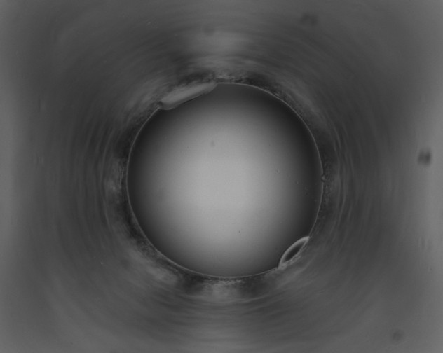 X0000093600078200710221555