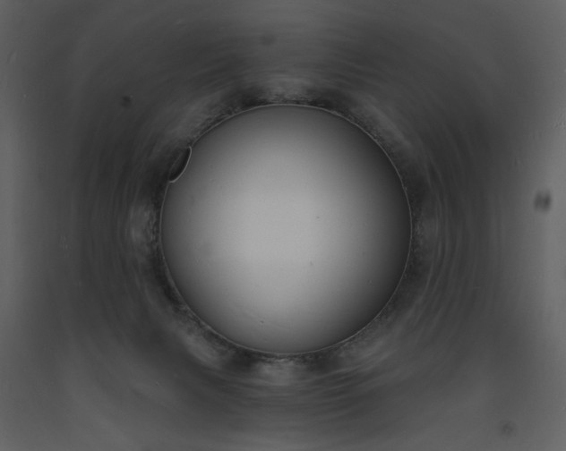 X0000093600079200710221555