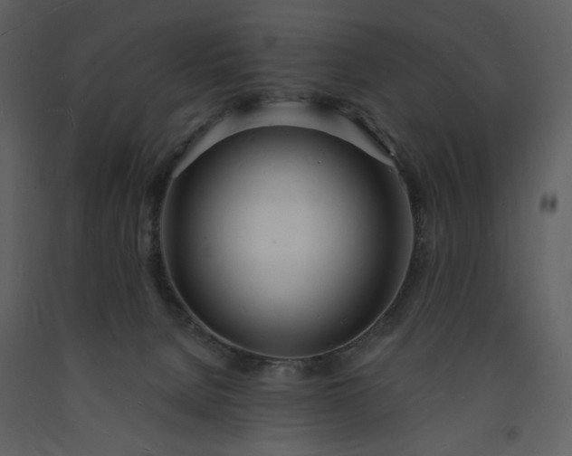 X0000093600080200710221556