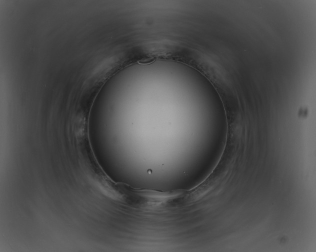 X0000093600081200710221556