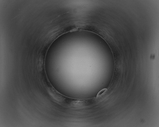 X0000093600082200710221556