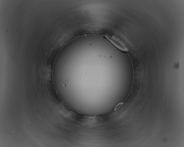 X0000093600083200710221556