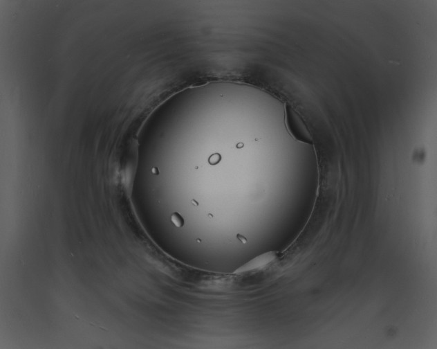 X0000093600084200710221556