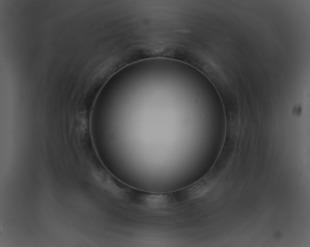 X0000093600085200710221556