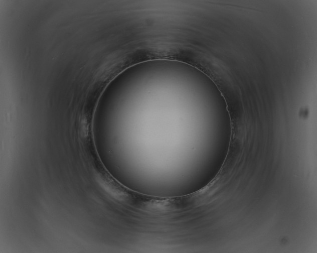 X0000093600086200710221556