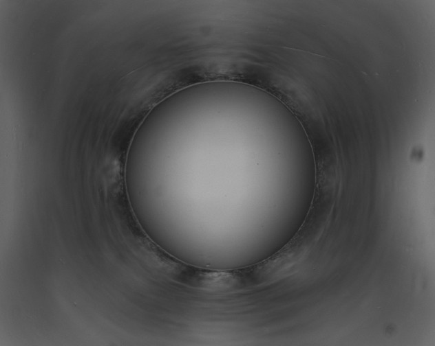 X0000093600087200710221556